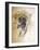 Ocelot, 1851-52-Joseph Wolf-Framed Giclee Print