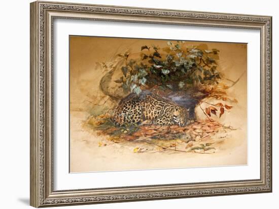 Ocelot, 1851-52-Joseph Wolf-Framed Giclee Print