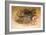 Ocelot, 1851-52-Joseph Wolf-Framed Giclee Print