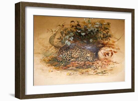 Ocelot, 1851-52-Joseph Wolf-Framed Giclee Print