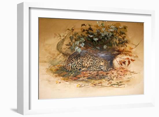 Ocelot, 1851-52-Joseph Wolf-Framed Giclee Print