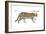 Ocelot (Felis or Lepardus, Pardalis), Cat, Mammals-Encyclopaedia Britannica-Framed Art Print