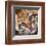 Ocelot Kitten-Sarah Stribbling-Framed Art Print