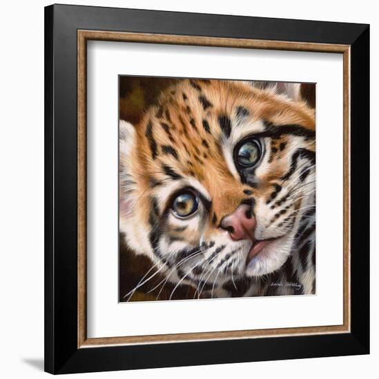 Ocelot Kitten-Sarah Stribbling-Framed Art Print