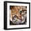 Ocelot Kitten-Sarah Stribbling-Framed Art Print