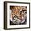 Ocelot Kitten-Sarah Stribbling-Framed Art Print