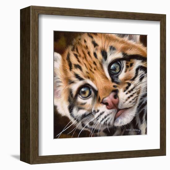 Ocelot Kitten-Sarah Stribbling-Framed Art Print