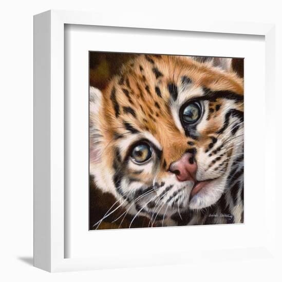 Ocelot Kitten-Sarah Stribbling-Framed Art Print