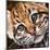 Ocelot Kitten-Sarah Stribbling-Mounted Art Print