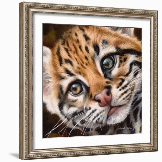 Ocelot Kitten-Sarah Stribbling-Framed Art Print