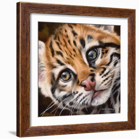 Ocelot Kitten-Sarah Stribbling-Framed Art Print