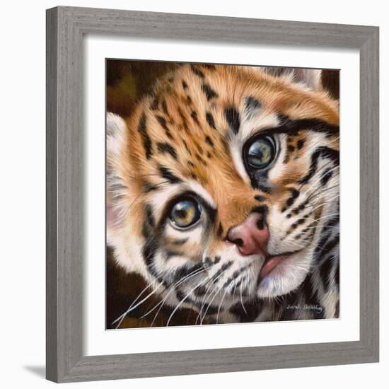 Ocelot Kitten-Sarah Stribbling-Framed Art Print
