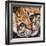 Ocelot Kitten-Sarah Stribbling-Framed Art Print