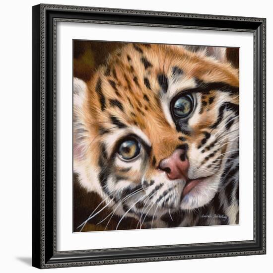 Ocelot Kitten-Sarah Stribbling-Framed Art Print