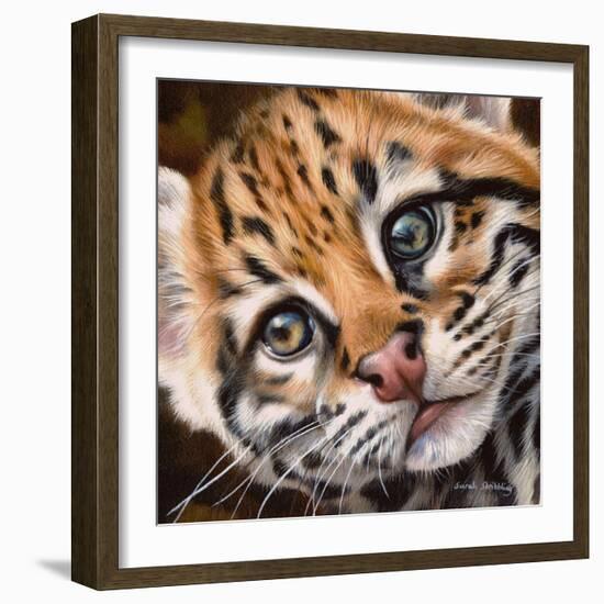 Ocelot Kitten-Sarah Stribbling-Framed Art Print