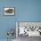 Ocelot-John Woodhouse Audubon-Framed Premier Image Canvas displayed on a wall