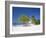 Ocho Rios, Jamaica, West Indies, Caribbean, Central America-Angelo Cavalli-Framed Photographic Print