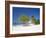 Ocho Rios, Jamaica, West Indies, Caribbean, Central America-Angelo Cavalli-Framed Photographic Print