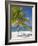 Ocho Rios, Jamaica, West Indies, Caribbean, Central America-Angelo Cavalli-Framed Photographic Print