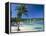 Ocho Rios, Jamaica, West Indies, Central America-Sergio Pitamitz-Framed Premier Image Canvas