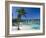 Ocho Rios, Jamaica, West Indies, Central America-Sergio Pitamitz-Framed Photographic Print