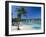 Ocho Rios, Jamaica, West Indies, Central America-Sergio Pitamitz-Framed Photographic Print