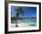 Ocho Rios, Jamaica, West Indies, Central America-Sergio Pitamitz-Framed Photographic Print