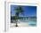 Ocho Rios, Jamaica, West Indies, Central America-Sergio Pitamitz-Framed Photographic Print