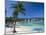 Ocho Rios, Jamaica, West Indies, Central America-Sergio Pitamitz-Mounted Photographic Print