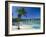 Ocho Rios, Jamaica, West Indies, Central America-Sergio Pitamitz-Framed Photographic Print