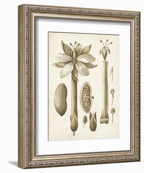 Ochre Botanical I-Vision Studio-Framed Art Print
