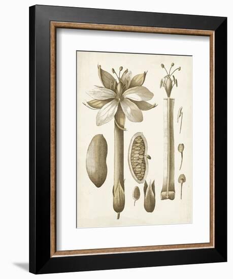 Ochre Botanical I-Vision Studio-Framed Art Print