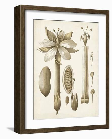 Ochre Botanical I-Vision Studio-Framed Art Print