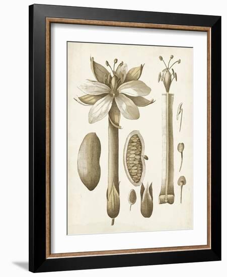 Ochre Botanical I-Vision Studio-Framed Art Print