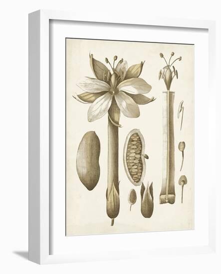 Ochre Botanical I-Vision Studio-Framed Art Print