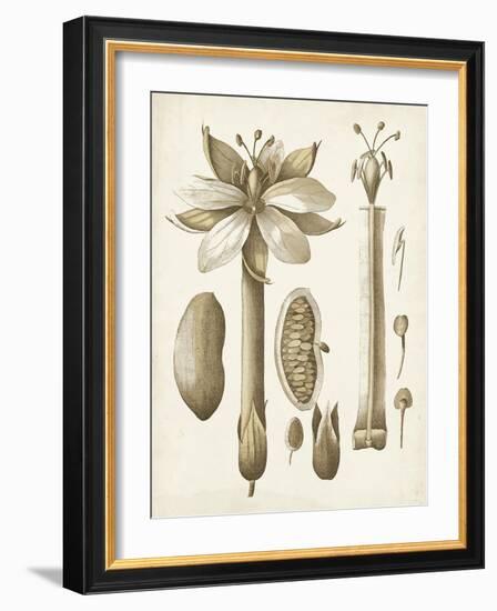Ochre Botanical I-Vision Studio-Framed Art Print