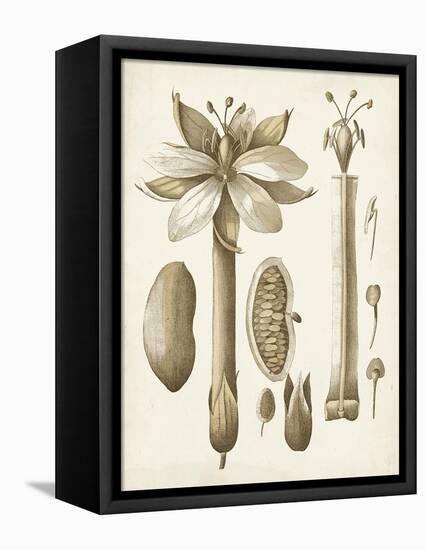 Ochre Botanical I-Vision Studio-Framed Stretched Canvas