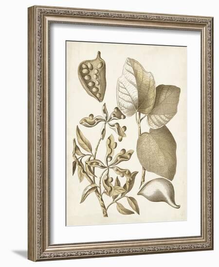 Ochre Botanical III-Vision Studio-Framed Art Print