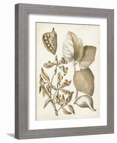 Ochre Botanical III-Vision Studio-Framed Art Print