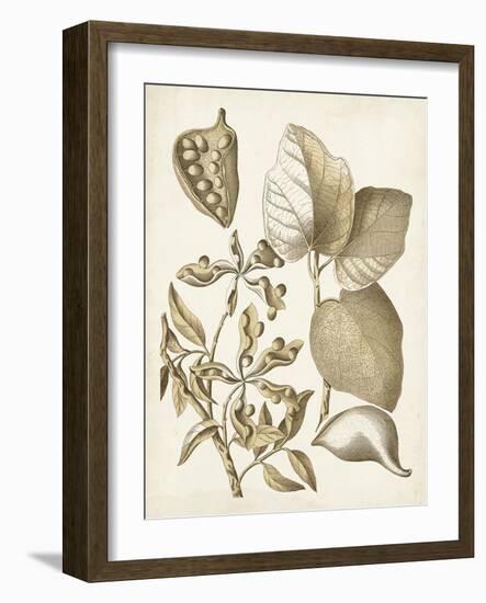 Ochre Botanical III-Vision Studio-Framed Art Print