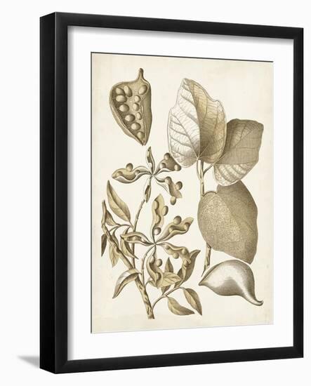Ochre Botanical III-Vision Studio-Framed Art Print