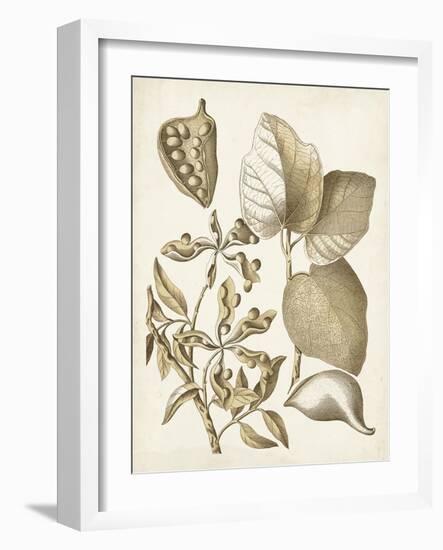 Ochre Botanical III-Vision Studio-Framed Art Print