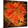 Ochre Foliage-Jessica Rogers-Mounted Giclee Print