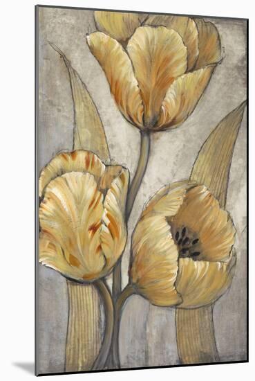 Ochre & Grey Tulips I-Tim O'toole-Mounted Art Print
