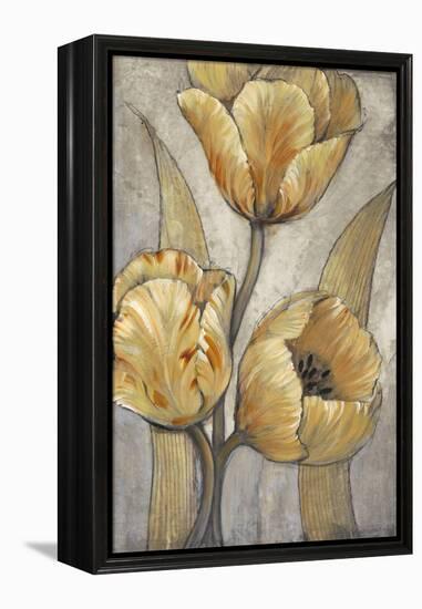 Ochre & Grey Tulips I-Tim O'toole-Framed Stretched Canvas