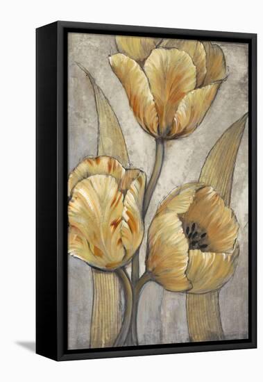 Ochre & Grey Tulips I-Tim O'toole-Framed Stretched Canvas