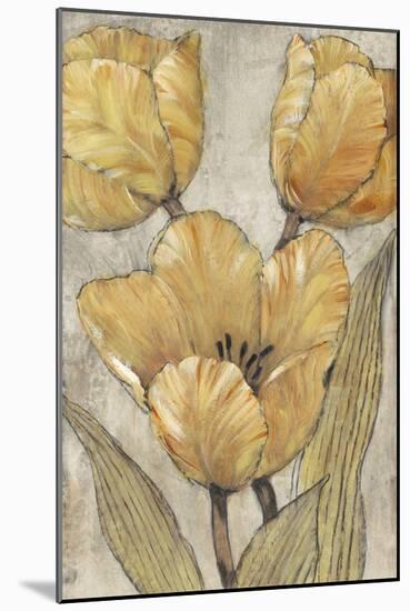 Ochre & Grey Tulips II-Tim O'toole-Mounted Art Print