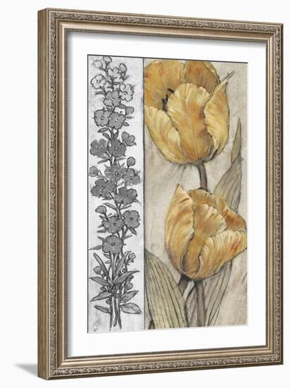 Ochre & Grey Tulips IV-Tim O'toole-Framed Art Print
