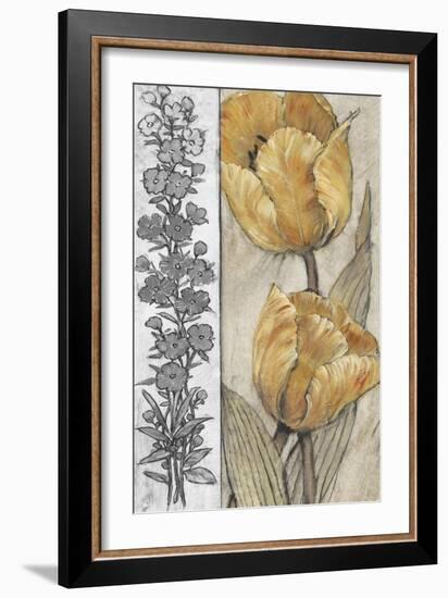 Ochre & Grey Tulips IV-Tim O'toole-Framed Art Print