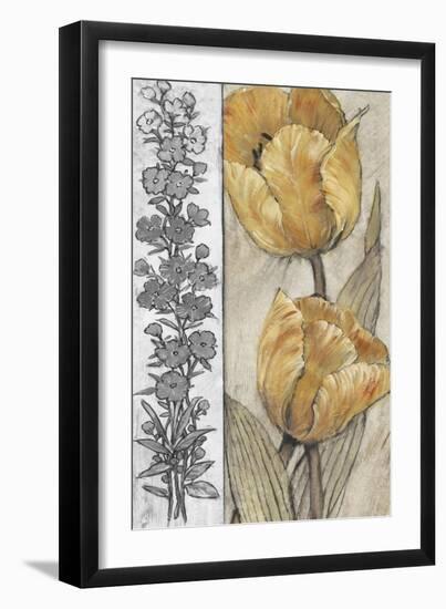 Ochre & Grey Tulips IV-Tim O'toole-Framed Art Print